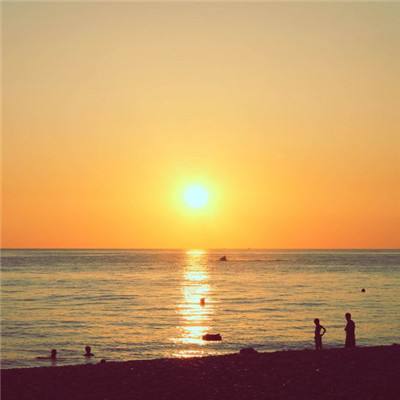 bte365真正的网站